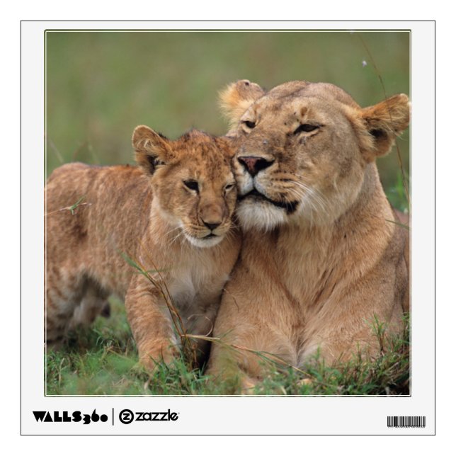Cutest Baby Animals | Lion Cub & Mother Wall Decal (Front)