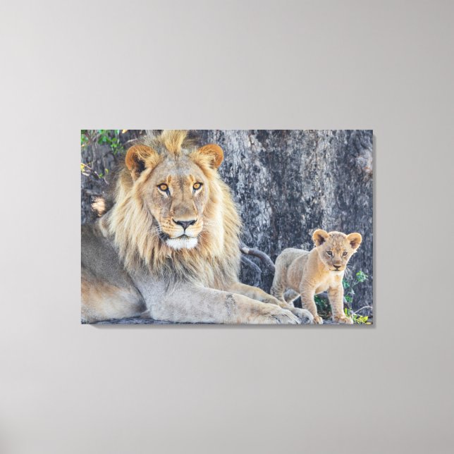 Cutest Baby Animals | Lion Dad & Cub Canvas Print (Front)