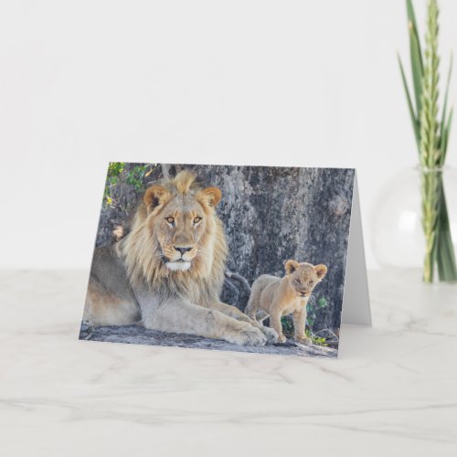 Cutest Baby Animals  Lion Dad  Cub Card
