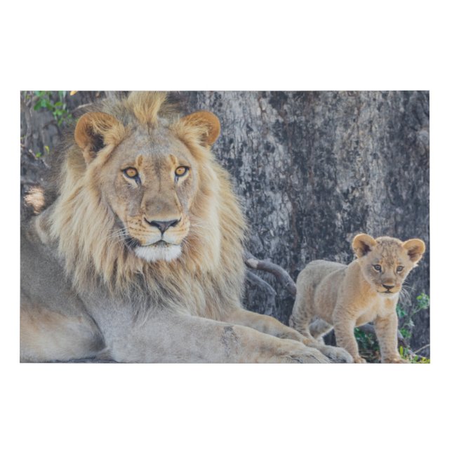 Cutest Baby Animals | Lion Dad & Cub Faux Canvas Print (Front)