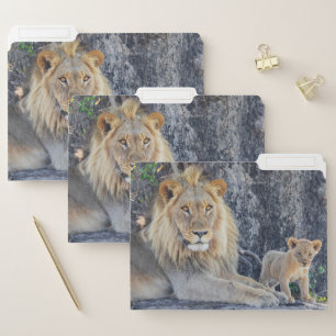 Cutest Baby Animals Lion Dad & Cub File Folder