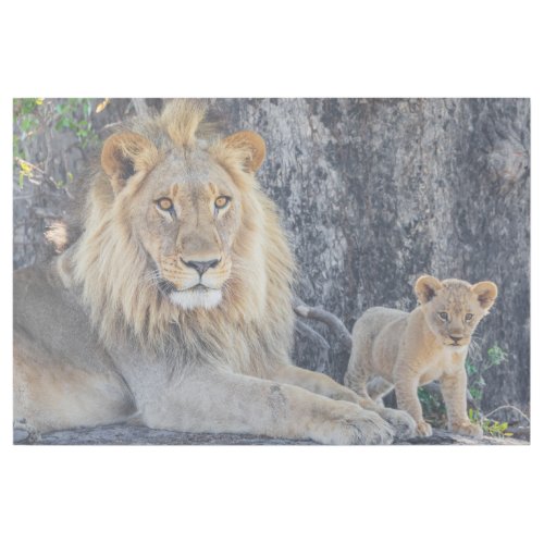 Cutest Baby Animals  Lion Dad  Cub Gallery Wrap