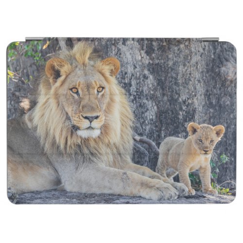 Cutest Baby Animals  Lion Dad  Cub iPad Air Cover