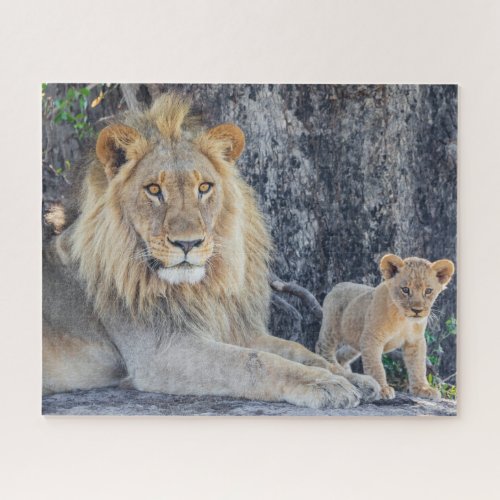 Cutest Baby Animals  Lion Dad  Cub Jigsaw Puzzle