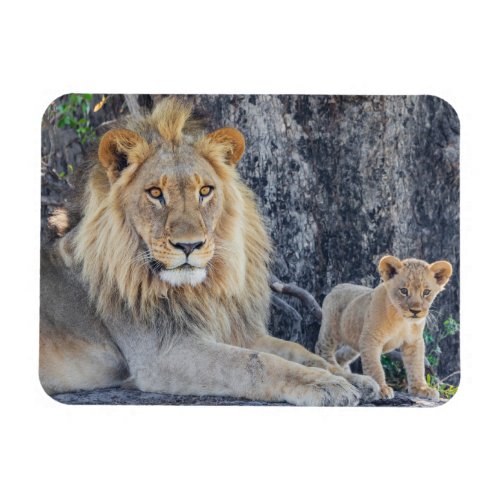 Cutest Baby Animals  Lion Dad  Cub Magnet