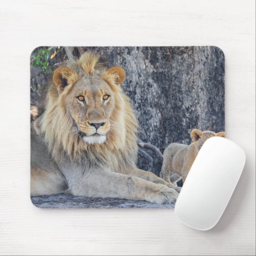 Cutest Baby Animals  Lion Dad  Cub Mouse Pad
