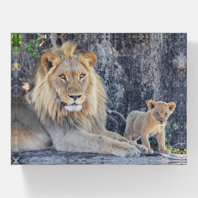 Cutest Baby Animals | Lion Dad & Cub Paperweight (Front)