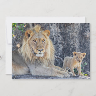 Cutest Baby Animals Lion Dad & Cub Thank You Card