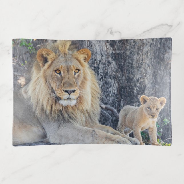 Cutest Baby Animals | Lion Dad & Cub Trinket Tray (Front)