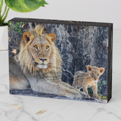 Cutest Baby Animals  Lion Dad  Cub Wooden Box Sign