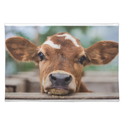 Cutest Baby Animals  Little Cow Calf Cloth Placemat