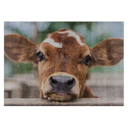 Cutest Baby Animals  Little Cow Calf Cutting Board