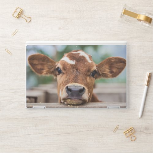 Cutest Baby Animals  Little Cow Calf HP Laptop Skin