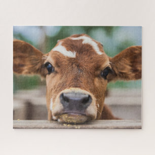 Cutest Baby Animals Little Cow Calf Jigsaw Puzzle