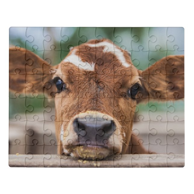 Cutest Baby Animals | Little Cow Calf Jigsaw Puzzle (Puzzle Horizontal)