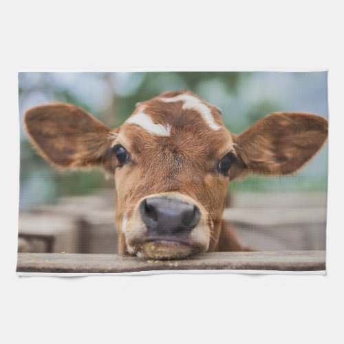 Cutest Baby Animals  Little Cow Calf Kitchen Towel