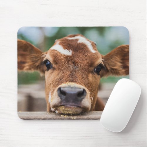 Cutest Baby Animals  Little Cow Calf Mouse Pad