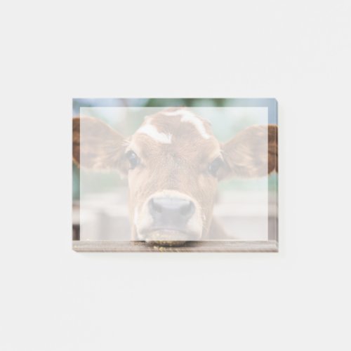 Cutest Baby Animals  Little Cow Calf Post_it Notes