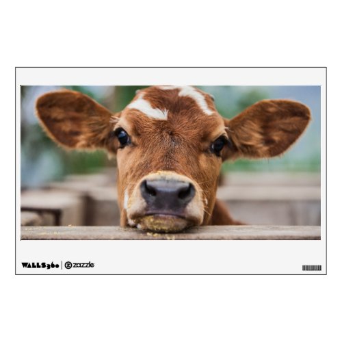 Cutest Baby Animals  Little Cow Calf Wall Decal