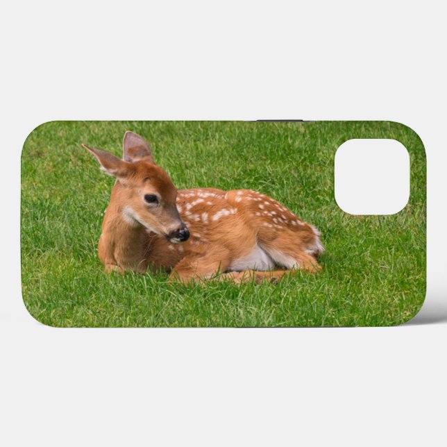 Cutest Baby Animals | Little Fawn Case-Mate iPhone Case (Back (Horizontal))