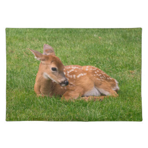 Cutest Baby Animals Little Fawn Cloth Placemat