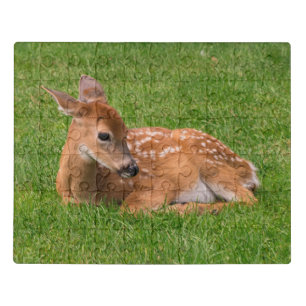 Cutest Baby Animals   Little Fawn Jigsaw Puzzle