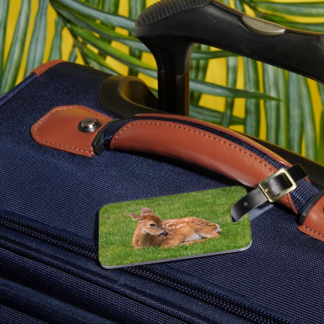 Cutest Baby Animals | Little Fawn Luggage Tag (Front Insitu 3)