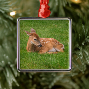 Cutest Baby Animals   Little Fawn Metal Ornament
