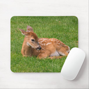 Cutest Baby Animals Little Fawn Mouse Pad