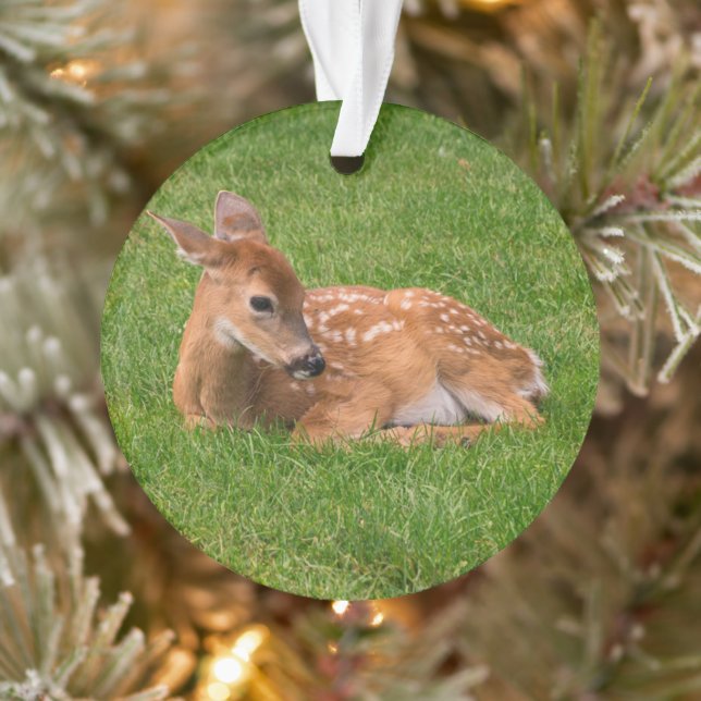 Cutest Baby Animals | Little Fawn Ornament (Tree)
