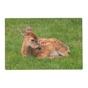 Cutest Baby Animals Little Fawn Placemat