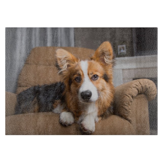 Cutest Baby Animals | Long Hair Corgi Puppy Cutting Board (Front)