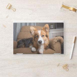 Cutest Baby Animals Long Hair Corgi Puppy HP Laptop Skin