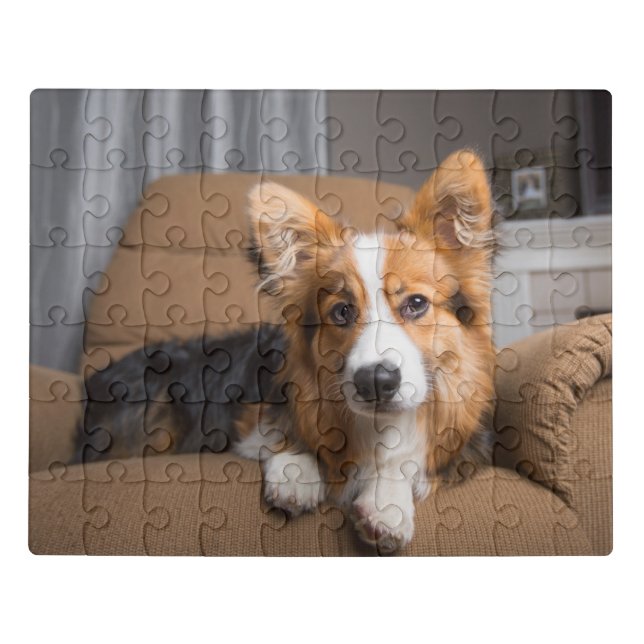 Cutest Baby Animals | Long Hair Corgi Puppy Jigsaw Puzzle (Puzzle Horizontal)