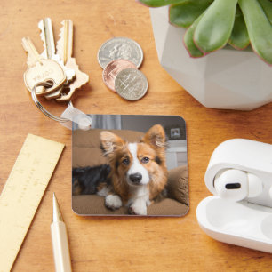 Cutest Baby Animals Long Hair Corgi Puppy Keychain