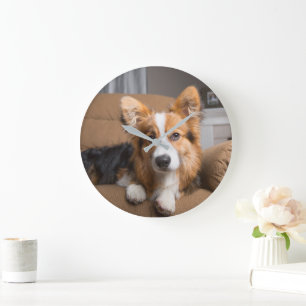 Cutest Baby Animals Long Hair Corgi Puppy Large Clock