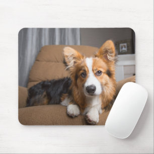 Cutest Baby Animals Long Hair Corgi Puppy Mouse Pad