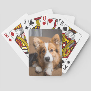 Cutest Baby Animals Long Hair Corgi Puppy Poker Cards