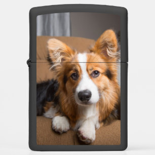 Cutest Baby Animals Long Hair Corgi Puppy Zippo Lighter