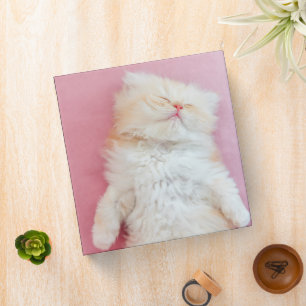 Cutest Baby Animals Lovely Kitten Sleeping 3 Ring Binder