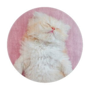 Cutest Baby Animals Lovely Kitten Sleeping Cutting Board