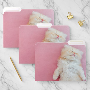 Cutest Baby Animals Lovely Kitten Sleeping File Folder