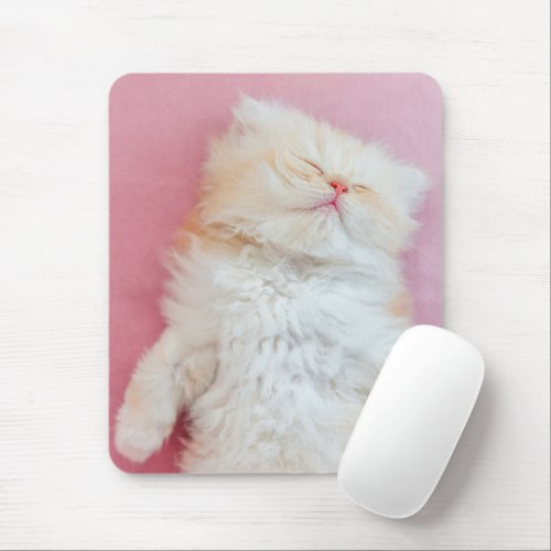 Cutest Baby Animals  Lovely Kitten Sleeping Mouse Pad