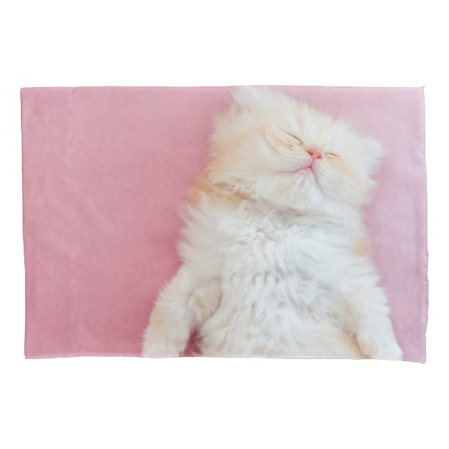 Cutest Baby Animals | Lovely Kitten Sleeping Pillow Case (Front)