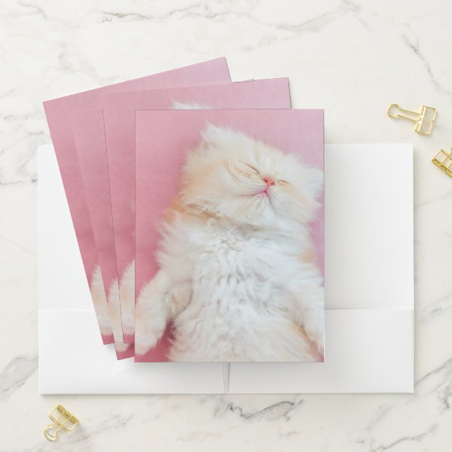 Cutest Baby Animals | Lovely Kitten Sleeping Pocket Folder (In Situ)