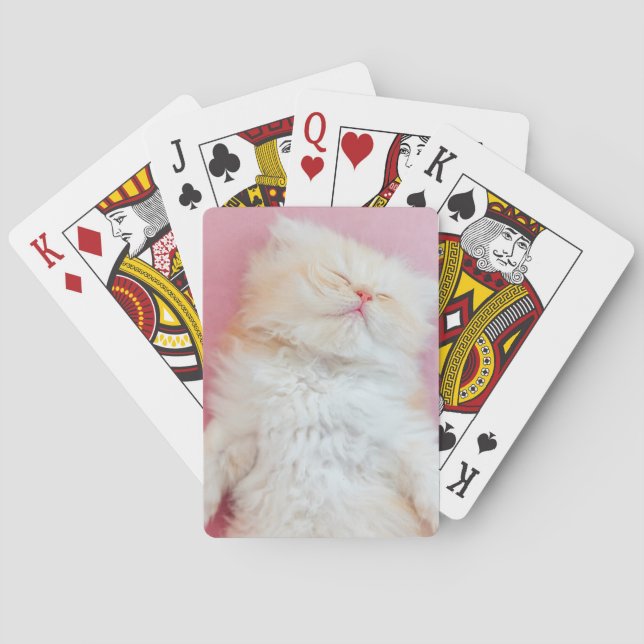 Cutest Baby Animals | Lovely Kitten Sleeping Poker Cards (Back)