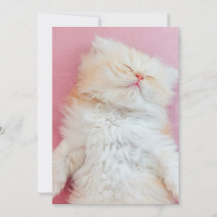 Cutest Baby Animals Lovely Kitten Sleeping Thank You Card