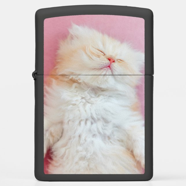 Cutest Baby Animals | Lovely Kitten Sleeping Zippo Lighter (Front)