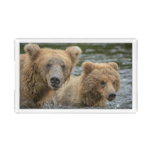 Cutest Baby Animals   Mama Bear & Her Cubs Acrylic Tray