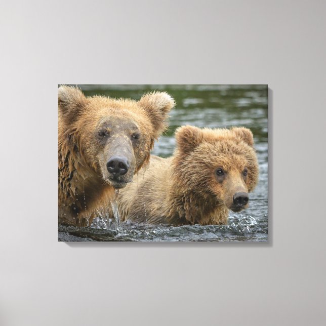 Cutest Baby Animals | Mama Bear & Her Cubs Canvas Print